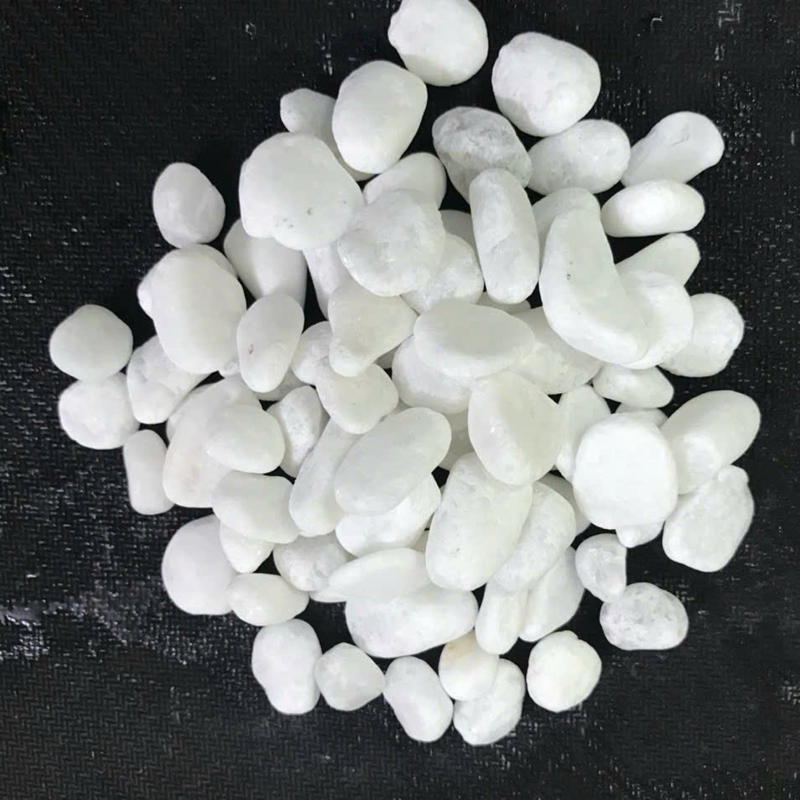 Sỏi màu trắng