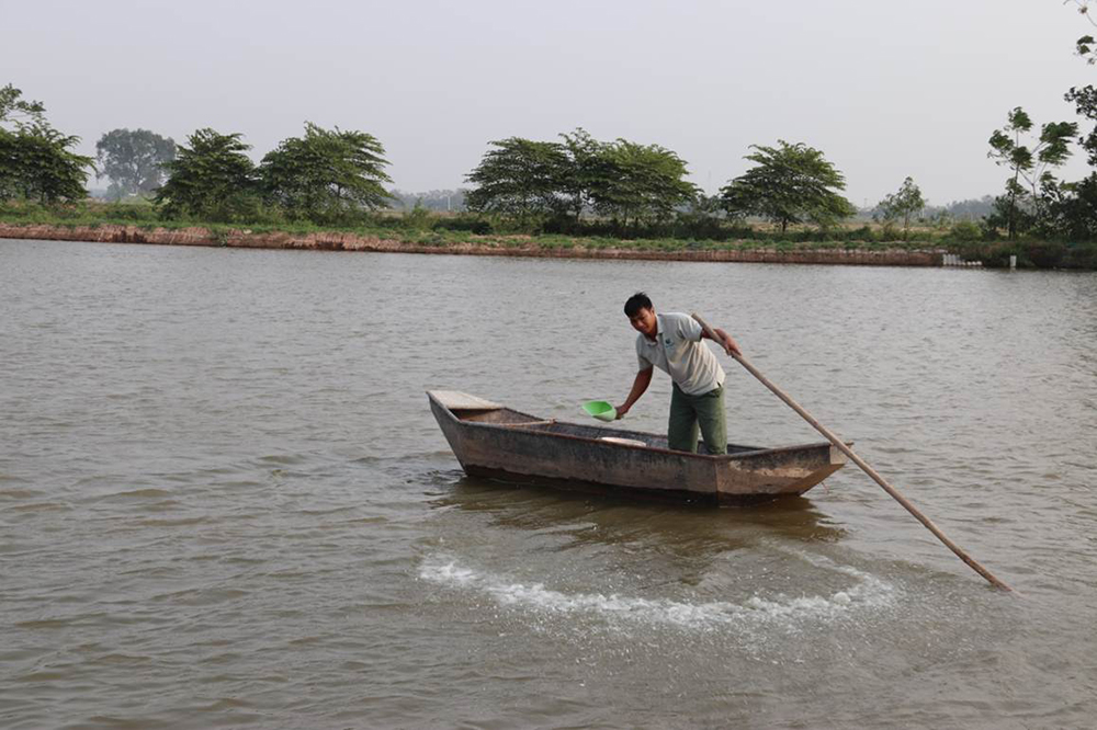 su dung voi trong nuoi trong thuy san 3