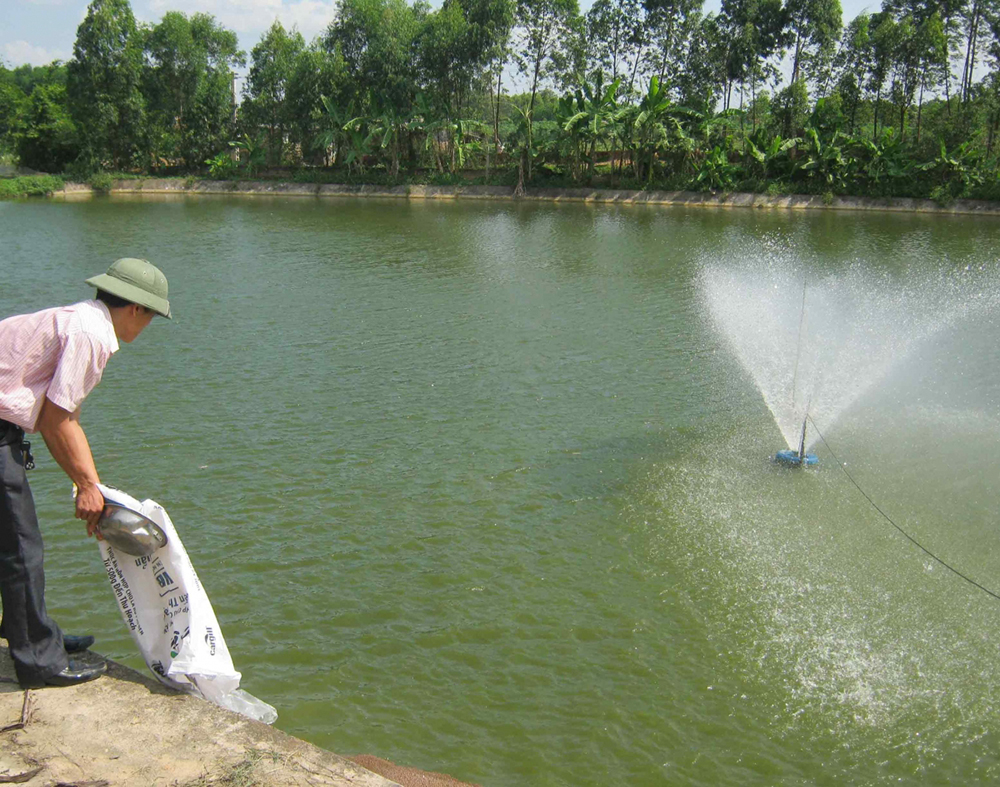 su dung voi trong nuoi trong thuy san 4